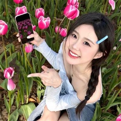 飞行之翼